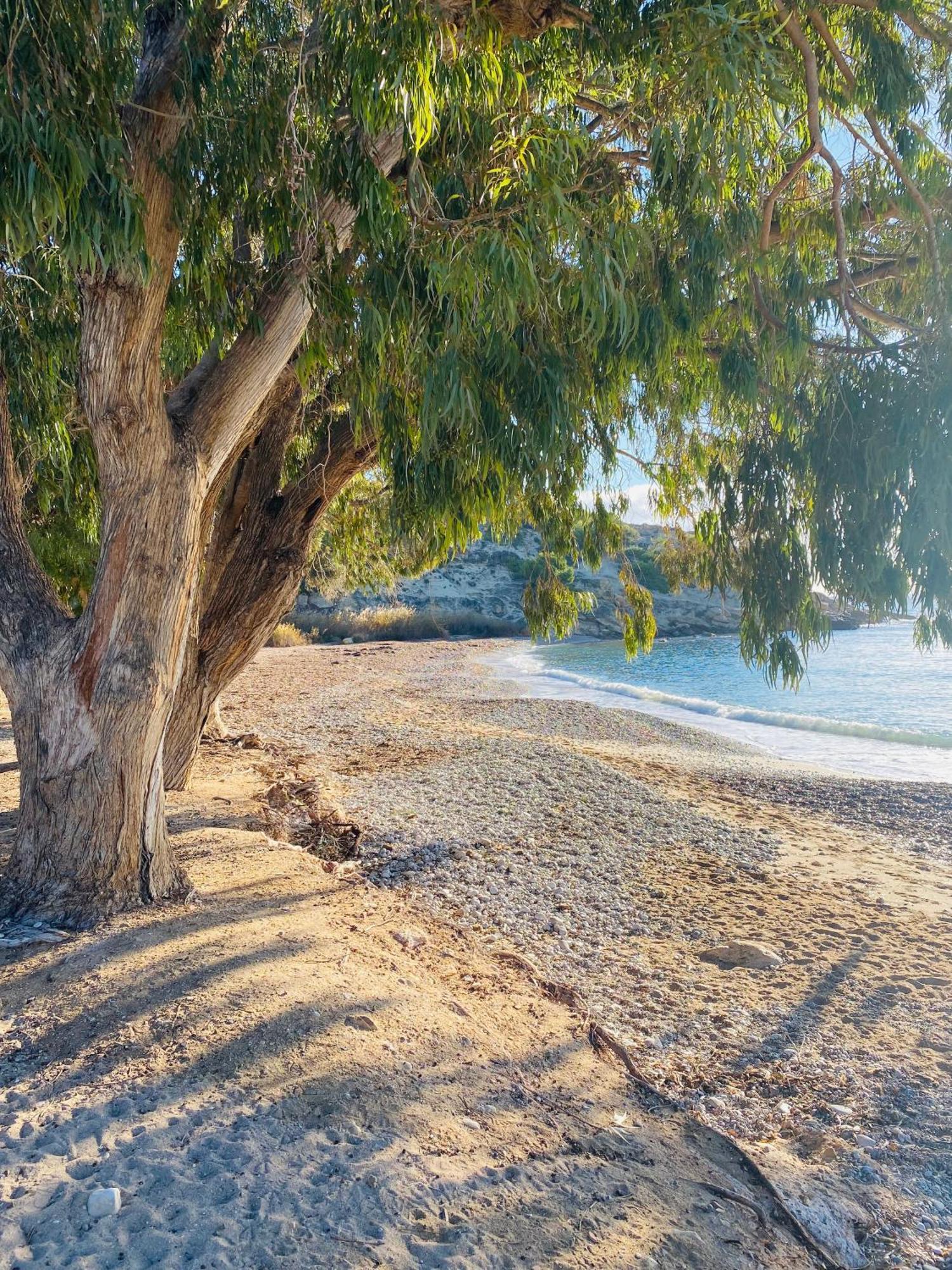 Allonbay Sweet Apartment Villajoyosa Dış mekan fotoğraf